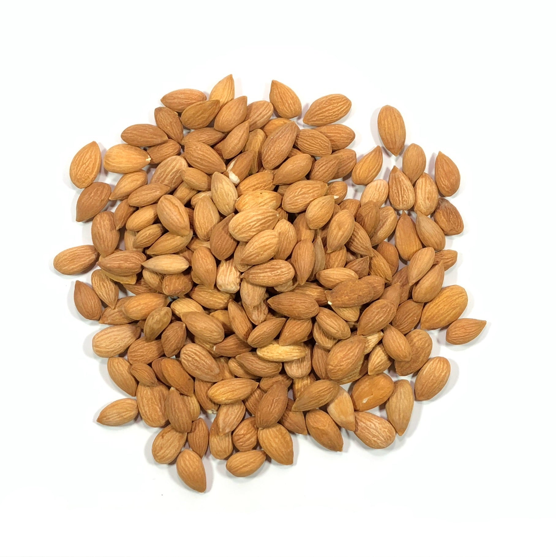 Apricot Seed Kernels